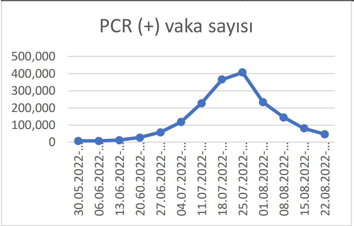 PCR pozitif vaka sayısı